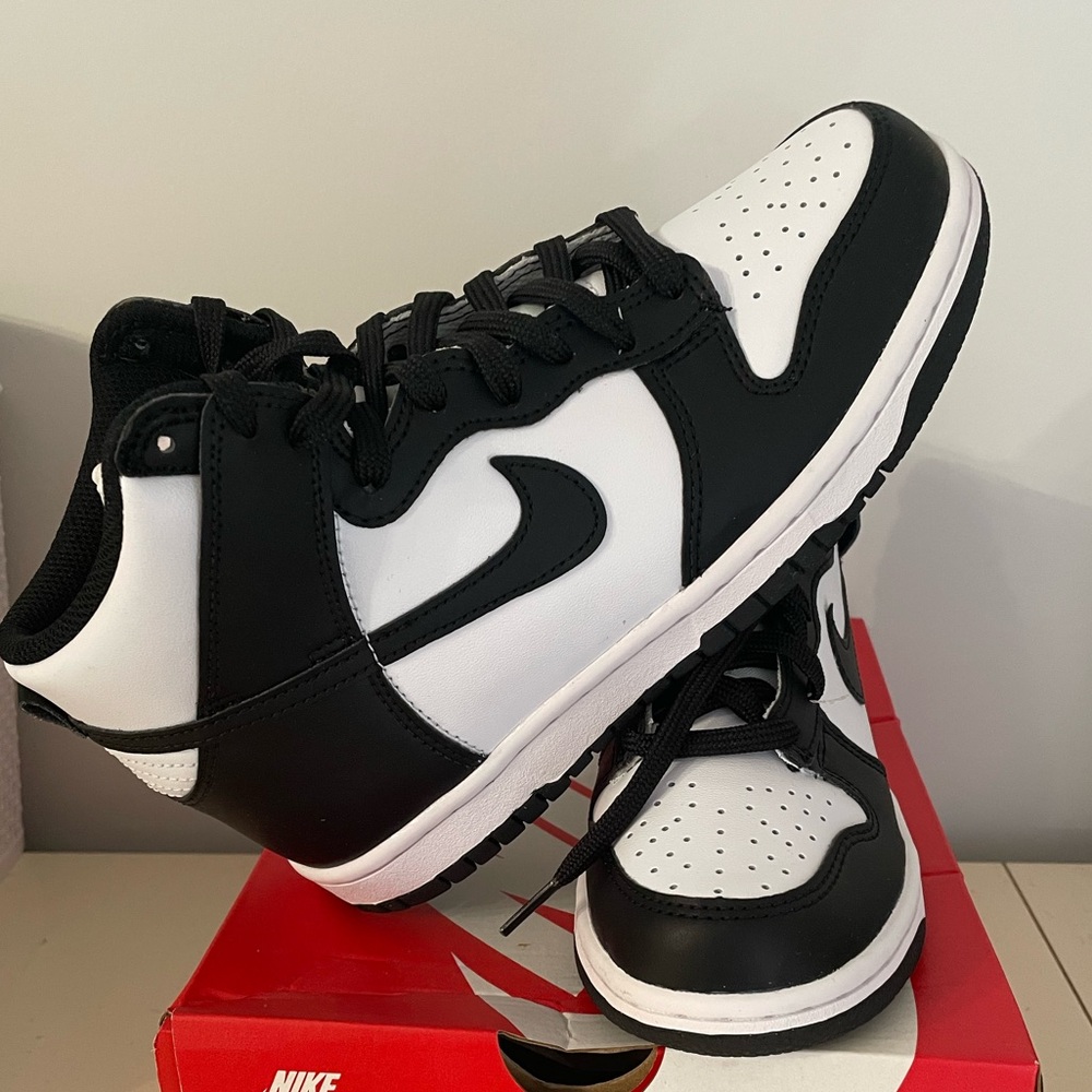 NIB Nike Dunk High (GS)